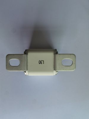 AC2000V/1min EV Perlindungan Kendaraan 30A - 450A Dengan &gt;3000h Life Span